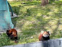 -哈尔滨北方森林动物园