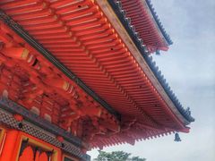 -有栖山 清光院 清水寺