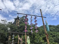 -西双版纳原始森林公园