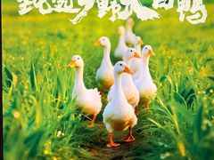 -张烤鸭·川菜·非遗冒烤鸭(青石桥店)