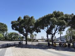 -妈妈菜舟山海鲜(定海古城店)