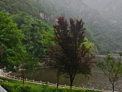 -秦岭终南山世界地质公园翠华山景区