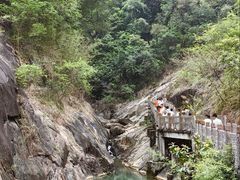 -广州白江湖森林公园