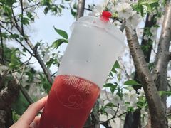 -鸡鸣赐茶(鸡鸣寺路店)