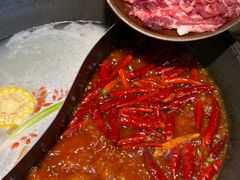 -阳阳老火锅(小南门店)