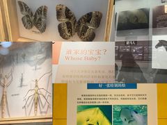 -大连自然博物馆