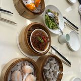 早茶