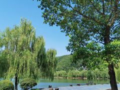 -明月山天沐温泉度假村