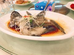 清蒸多宝鱼-东江海鲜酒家(艺都分店)