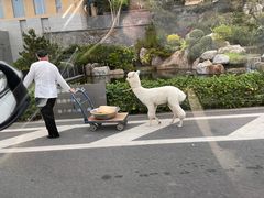 -南宁荔园维景国际酒店·荔园中餐厅