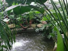 -汤山翠谷生态餐厅