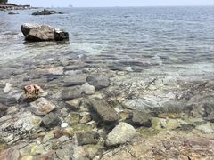 -养马岛旅游度假区