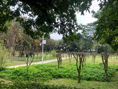 -荔香公园