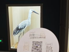 -中国湿地博物馆