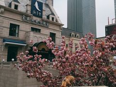 -东港音乐喷泉广场