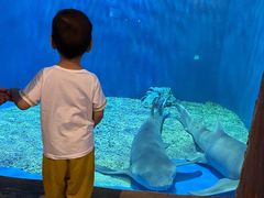 -华夏文旅海洋公园