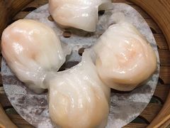 虾饺-捷信牛奶甜品世家(五道口店)