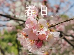 -静安雕塑公园