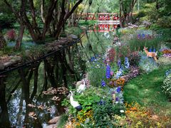 -上海共青森林公园