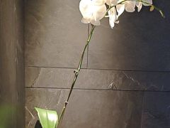 -浩运海鲜·16年专注青岛菜(石老人店)