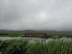 -腾冲北海湿地