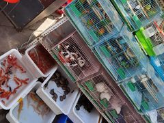 零售区-文庙广场小吃一条街
