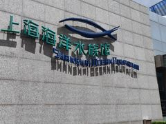 -上海海洋水族馆