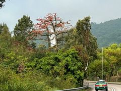 -YHA白普理赛马会大美督青年旅舍(大埔)