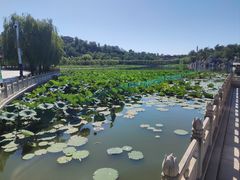 -南戴河国际娱乐中心