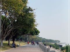-深圳湾公园(南山区)