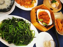 -金龙寨(龙城路店)
