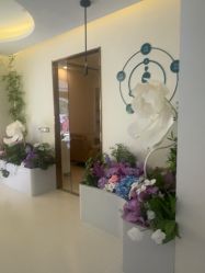 -头道汤头疗养生馆