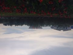 iphone_upload_pic-广州花之恋城堡酒店