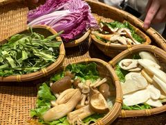 -滇野云南野生菌餐厅(陕西南路店)