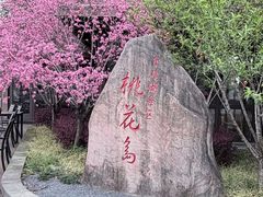 -金鸡湖桃花岛