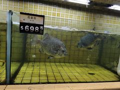 -御瀛日本料理