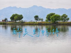 -野鸭湖国家湿地公园