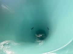 -温都水城·水梦奇缘