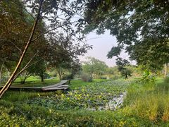 -西溪国家湿地公园