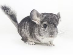 -龙猫仔乐园(惠福东路店)