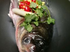 水库鱼头王-老宁波1381餐厅(宏泰广场店)