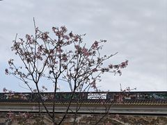 -宝墨园景区