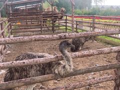 -北纬44度·金珠花海休闲农业旅游景区