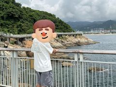 -野狸岛