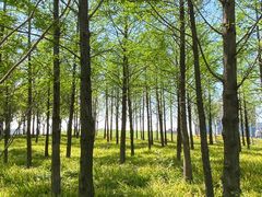-上海山野camping·户外天幕烧烤·团建拓展营地