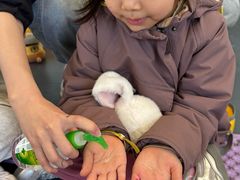 -杨梅红艺术教育(北京金源购物中心校区)