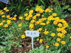 -东莞植物园