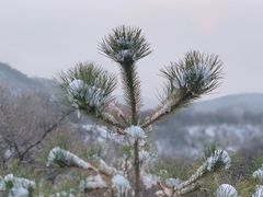 -鬼笑石后山停车场
