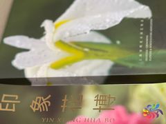 -上海怡沁园度假酒店