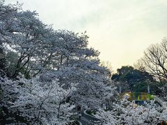 -杭州少年儿童公园
